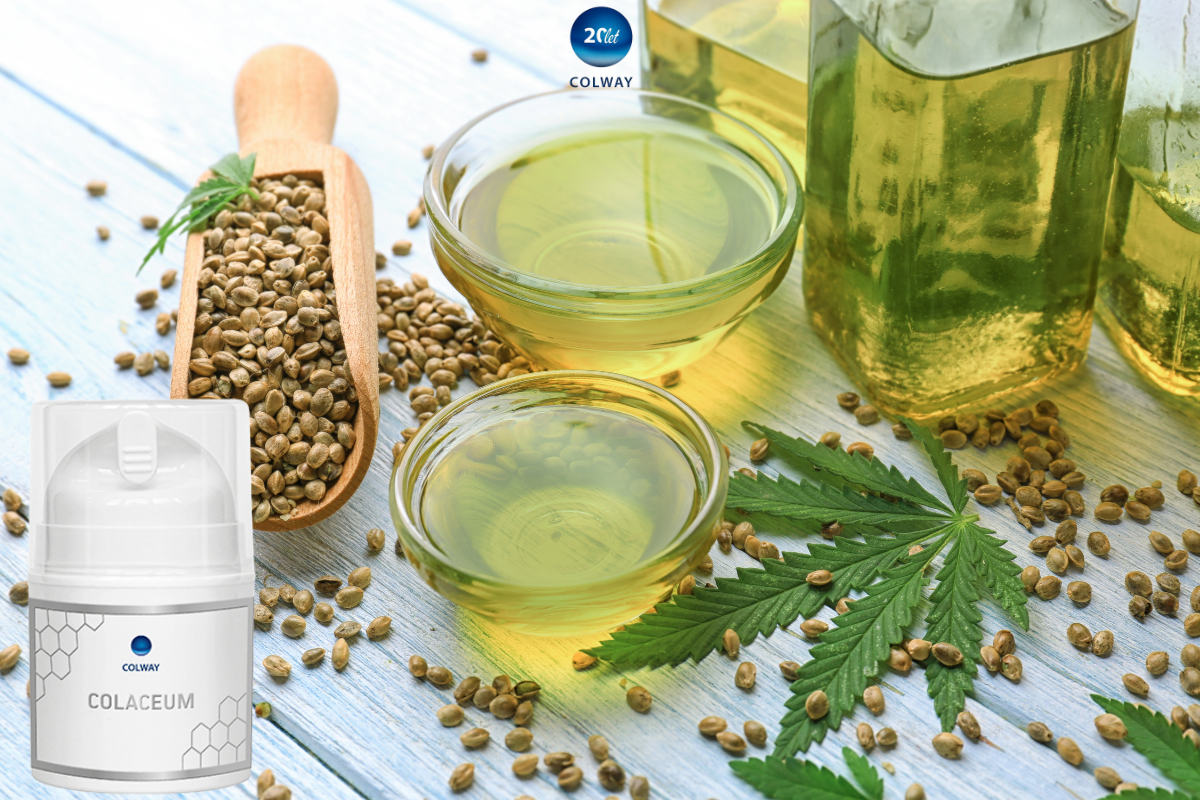 konopny olej colaceum